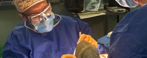 ICMCE_LIFTING_DEEP_PLANE_MEJOR_CIRUJANO_PLASTICO_DE_GRAN_CANARIA